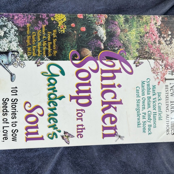 Two Chicken Soup books - Picture 3 of 4